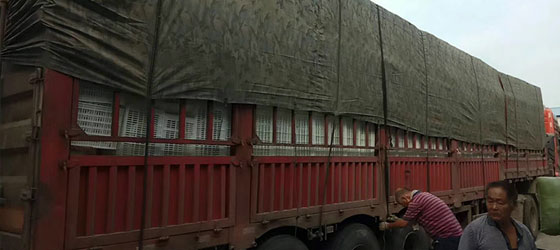 給你想要的客服服務 給你想要的客服服務